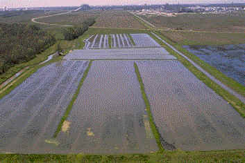 Crawfish Ponds